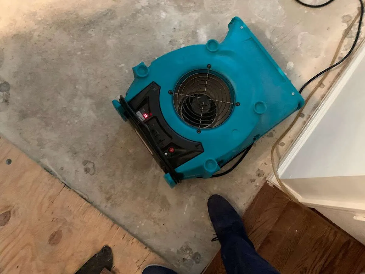 Air mover drying subfloor during Commercial Water Damage Restoration in Webster